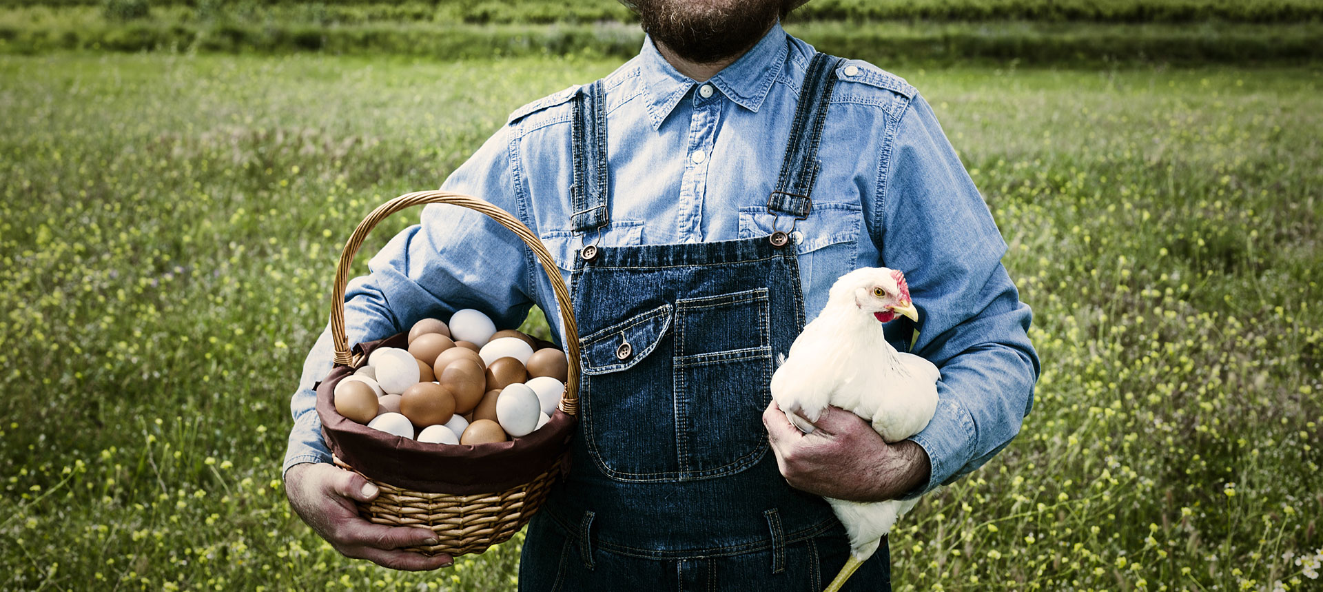 聖迪樂村 Sundaily