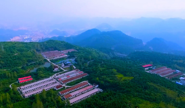 鐵騎力(li)士牧業科(ke)技(ji)工(gong)匠篇