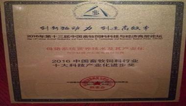 鐵騎力(li)士榮獲2016中(zhong)國(guo)畜牧飼料行業“十大(da)科(ke)技(ji)産(chan)業化進(jin)步