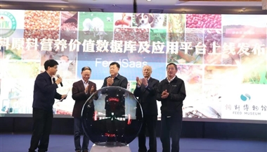 在(zai)這件事上，我(wo)們終于(yu)擺脫了(le)對國(guo)外的(de)長(zhang)期依賴！