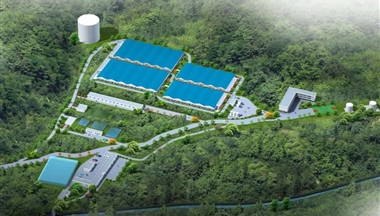 鐵騎力(li)士陝西首箇(ge)！年(nian)出欄仔豬8萬頭！